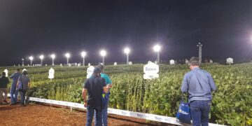 Cooperativa Frísia