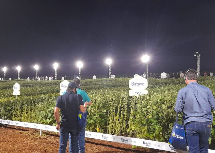 Cooperativa Frísia