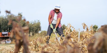Funrural