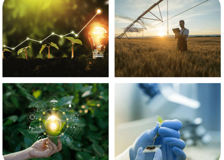 Secretaria deinovação