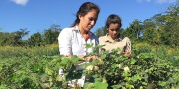 Agricultura Familiar