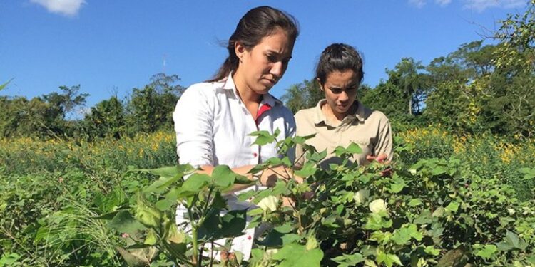 Agricultura Familiar