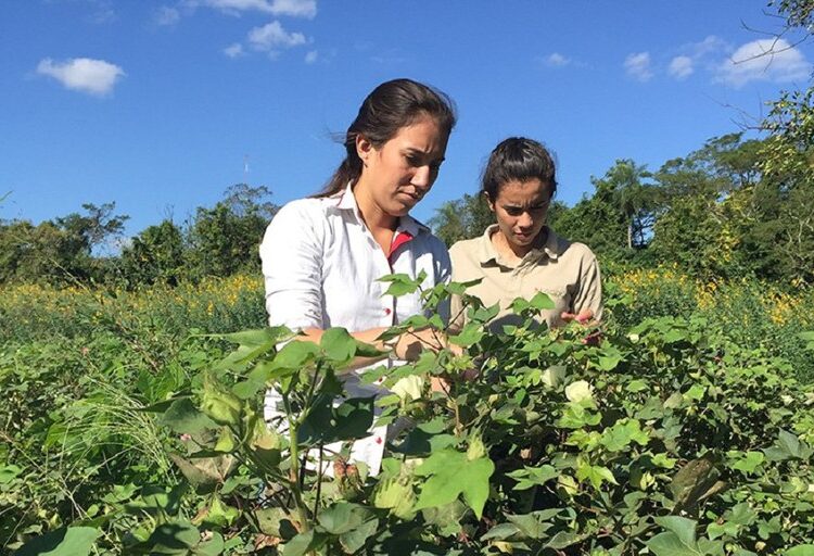 Agricultura Familiar