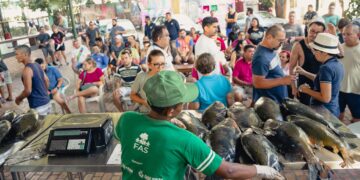 Feira do Tambaqui
