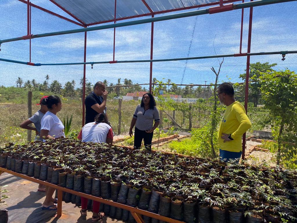 Negócios na floresta