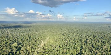 Dia da Amazônia