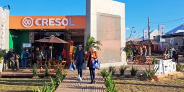 cresol