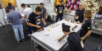 Ficafé