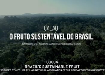 Processadores de cacau
