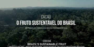 Processadores de cacau
