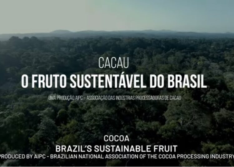 Processadores de cacau