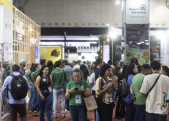 Semana Internacional do Café destaca as origens e a sustentabilidade da cadeia produtiva