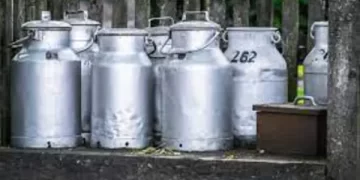Produção de leite