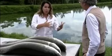 cooperpanga