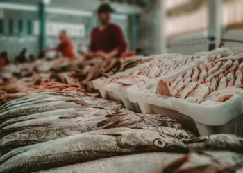 Mercado Egípcio