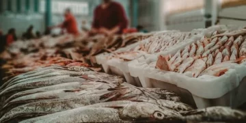 Mercado Egípcio