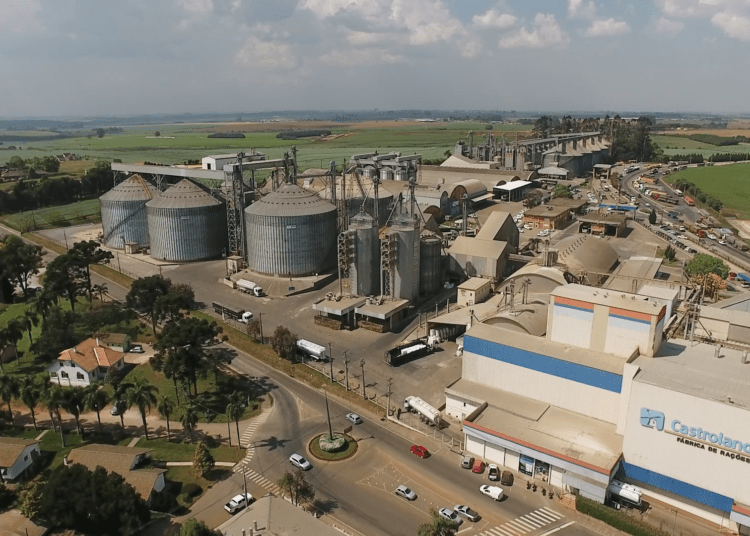 Castrolanda apresenta faturamento de R$ 6,7 bilhões em 2023 durante AGO