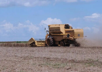 cooperativismo agricola