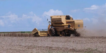 cooperativismo agricola