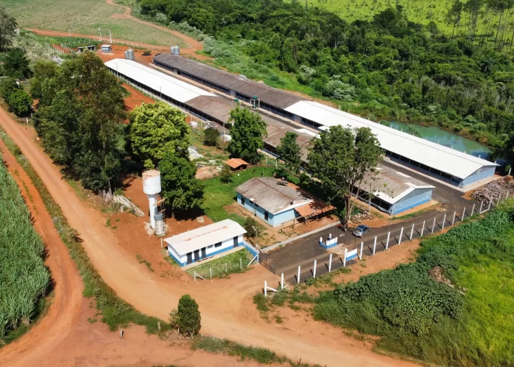 CPR BNDES é a nova linha de crédito para o Agro