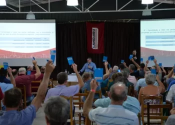 Assembleia da Cooperativa Languiru