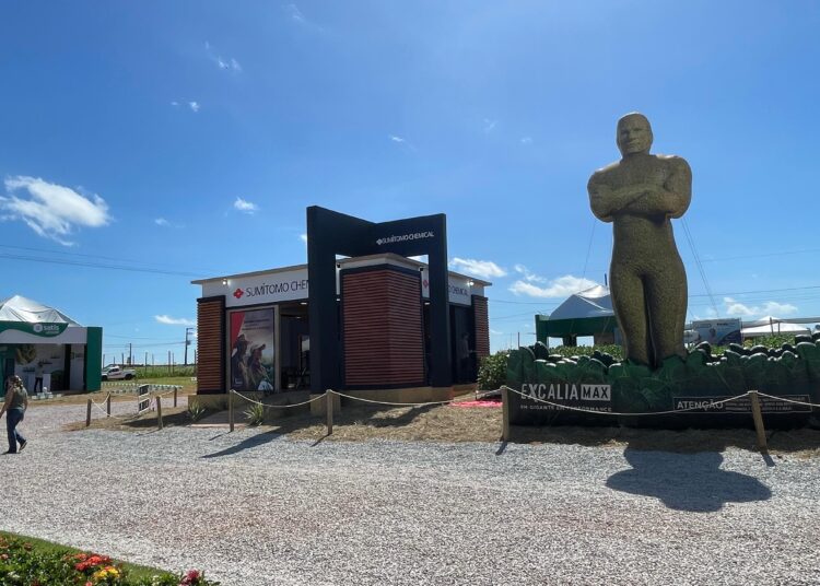 produção de soja no Brasil em debate no how Agro