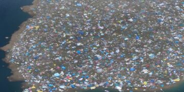 Dia Mundial do Mar:  educação ambiental e preservação oceânica