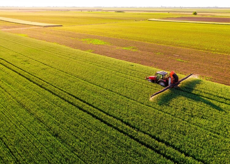 II Fórum Agro do Empresário revela número de coops no setor