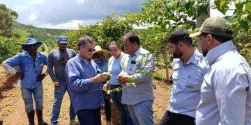 Projeto Fruticultura