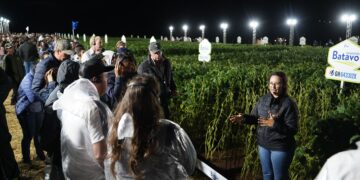 Noite da Soja