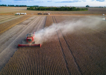 exportações de soja