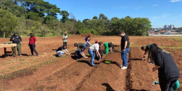 Projeto Fazendinha