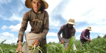 jovens_cooperativistas