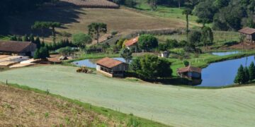 Coopera Agro SC: Programa de R$ 26 bi promete impulsionar o Agro catarinense