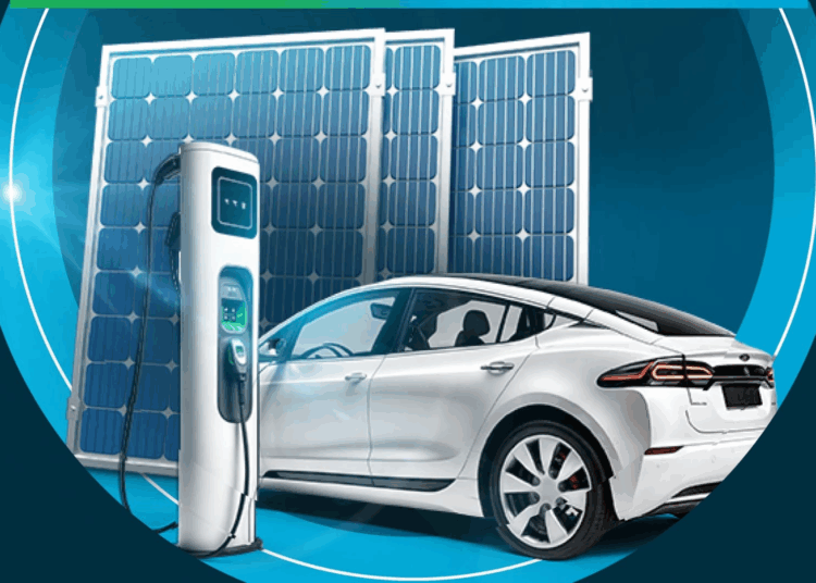 Projetos Sustentáveis