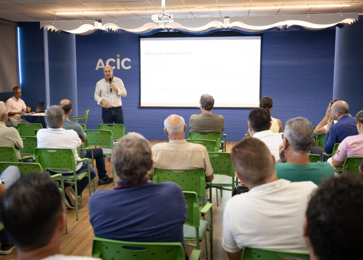 Crise-procuão-arroz