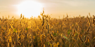 cooperativismo-de-credito