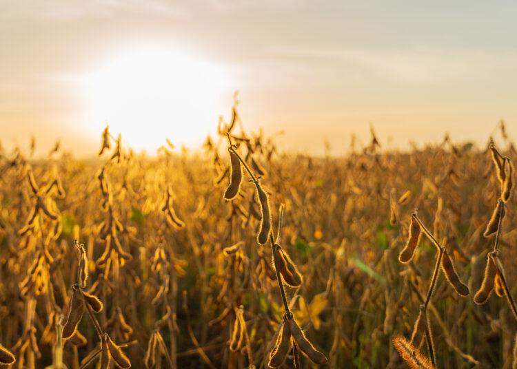 cooperativismo-de-credito