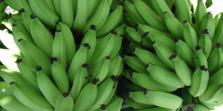 Feira Brasil na Mesa