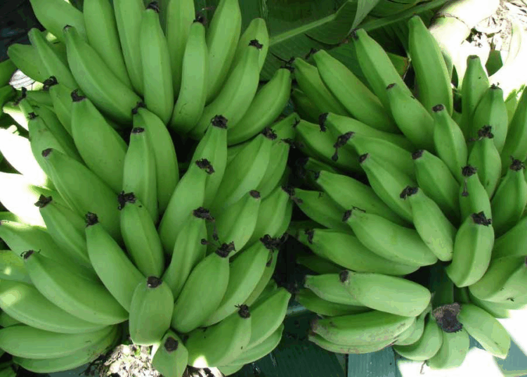 Feira Brasil na Mesa