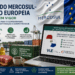 Acordo Mercosul-União Europeia
