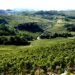 Vinhos