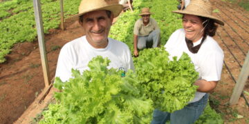 edital cooperativa-agricultura-familiar-paraíba
