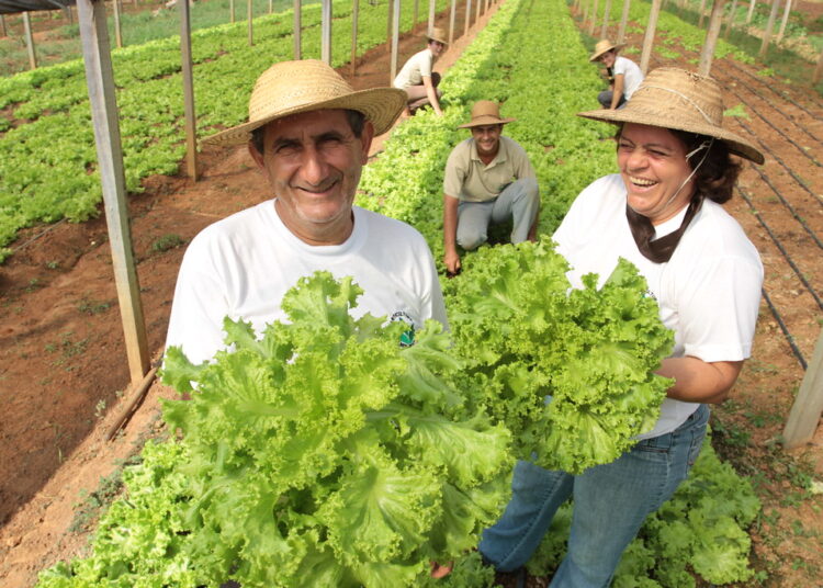 edital cooperativa-agricultura-familiar-paraíba