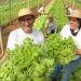 edital cooperativa-agricultura-familiar-paraíba
