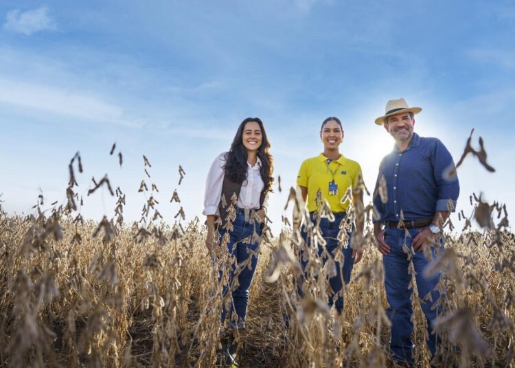 renegociação de crédito rural