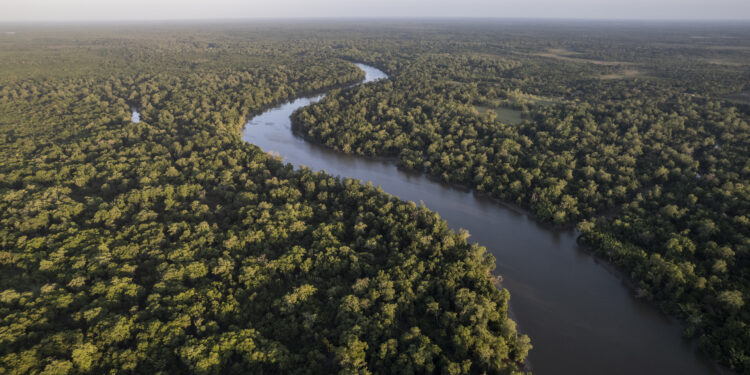 Amazônia investe R$ 103 milhões em 50 cooperativas extrativistas