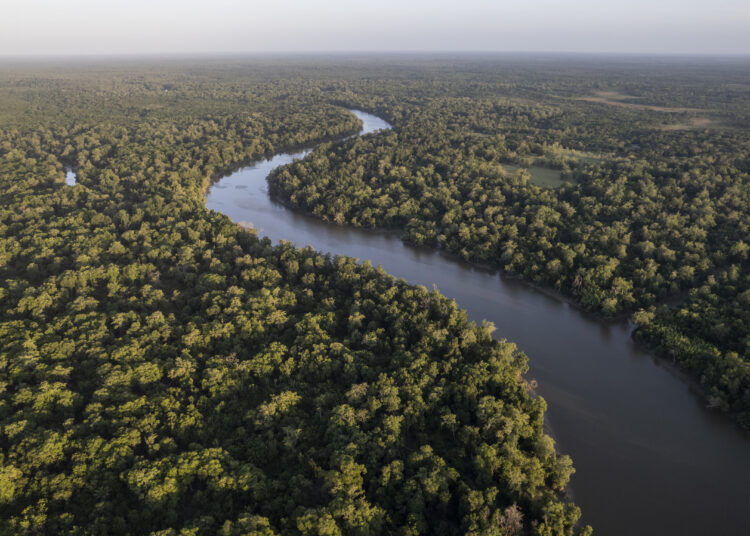 Amazônia investe R$ 103 milhões em 50 cooperativas extrativistas
