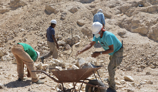 Cooperativismo Mineral