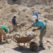 Cooperativismo Mineral